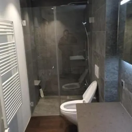 Διαμέρισμα Chavallera Casa Torri Σεντ Μόριτζ
